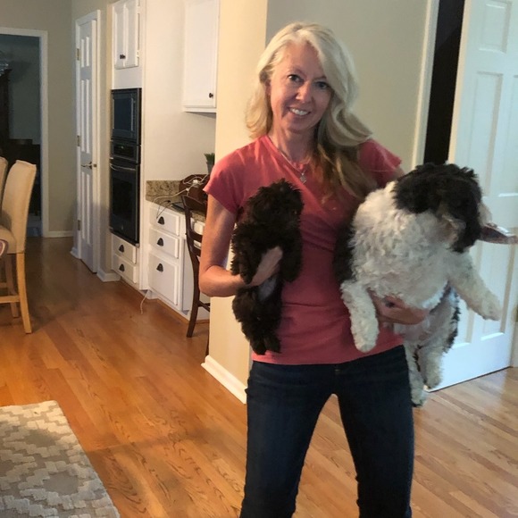 Meet your Posher, Holly - Picture 1 of 1